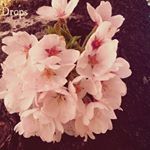 10535068_1504884826493580_1079381661_a