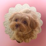 10865123_1580574075529232_1958153469_a