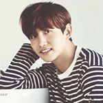 11917881_131855160489982_699571111_a