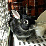 11273064_526133734194007_370499565_a