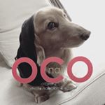 11371291_1634768850138365_657272039_a