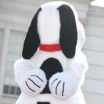 11821957_858244500930401_1706077243_a