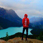 11376694_1615569402062567_2097584248_a