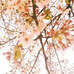 11849241_743429372449673_1918743164_a