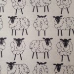 11095644_888176991224991_902031523_a