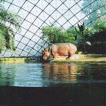 11426441_1624051731144764_627140209_a