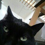 10520139_402428719897819_1999811571_a