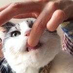 10537925_498880726909661_1804017699_a