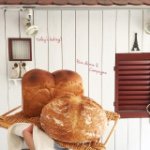 11374513_414336795442263_875727914_a