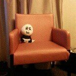 10522317_336540193176107_42792135_a