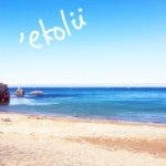 11312265_1602372340033120_904567177_a