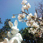 11116974_730631820367884_1972400020_a