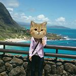 11375163_793184714132478_1931481189_a