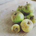 11849447_431387220380487_1426118563_a