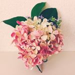 11253248_1597809073805395_446946978_a