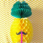 11378365_477942165704386_463064230_a