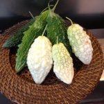 11377314_1096942367001147_1641512886_a