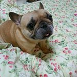 10004351_1601238650125521_670440799_a