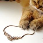 11202984_405001176370955_975557115_a