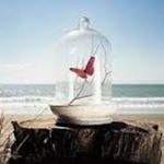 11848980_819593344820153_892661784_a