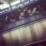 11380069_976900782350488_1081150378_a