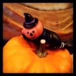 11356663_519233638227164_1467469560_a