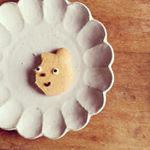 11881908_1475120152790503_953838957_a