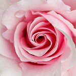 10919576_344191255785095_938029338_a