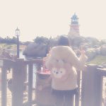 11111338_701638146611297_1663630442_a