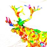 11356429_1738609789699612_250574142_a