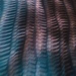 11934691_473325122850150_440651347_a