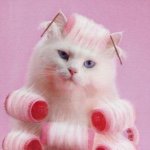 11049268_1646236415604383_2007844390_a