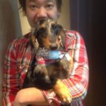 11899592_1176592029036444_1085280197_a