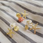 11335143_1437919569849415_600436056_a