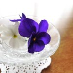 11379838_380345545492015_274054513_a