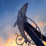 11328254_596885647093314_204270639_a