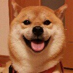 928838_308811119243243_43517947_a