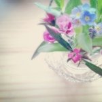 11875328_898617150226757_1155623297_a