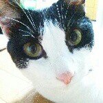 11356388_1693164724248623_1778545789_a