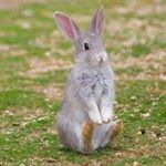 11950555_993721904019352_1036700323_a