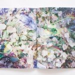 11280584_878952745514340_1914489515_a