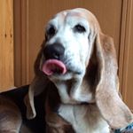 12132961_522905224543228_499209874_a