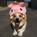 11376111_1467430983576315_813517239_a