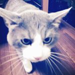 11939682_1636697469902659_1498721990_a