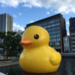 11850416_1071000029577372_1170445719_a