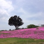 10401648_493571880743669_1636367635_a