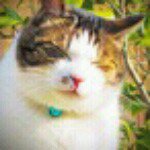 11850228_793220017443188_1862360650_a