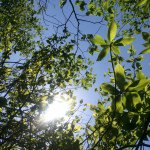 11355045_1623738251200370_168853342_a