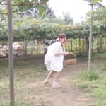 11262668_492177847627643_972151097_a