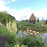 11820681_1468375763457225_1992376427_a